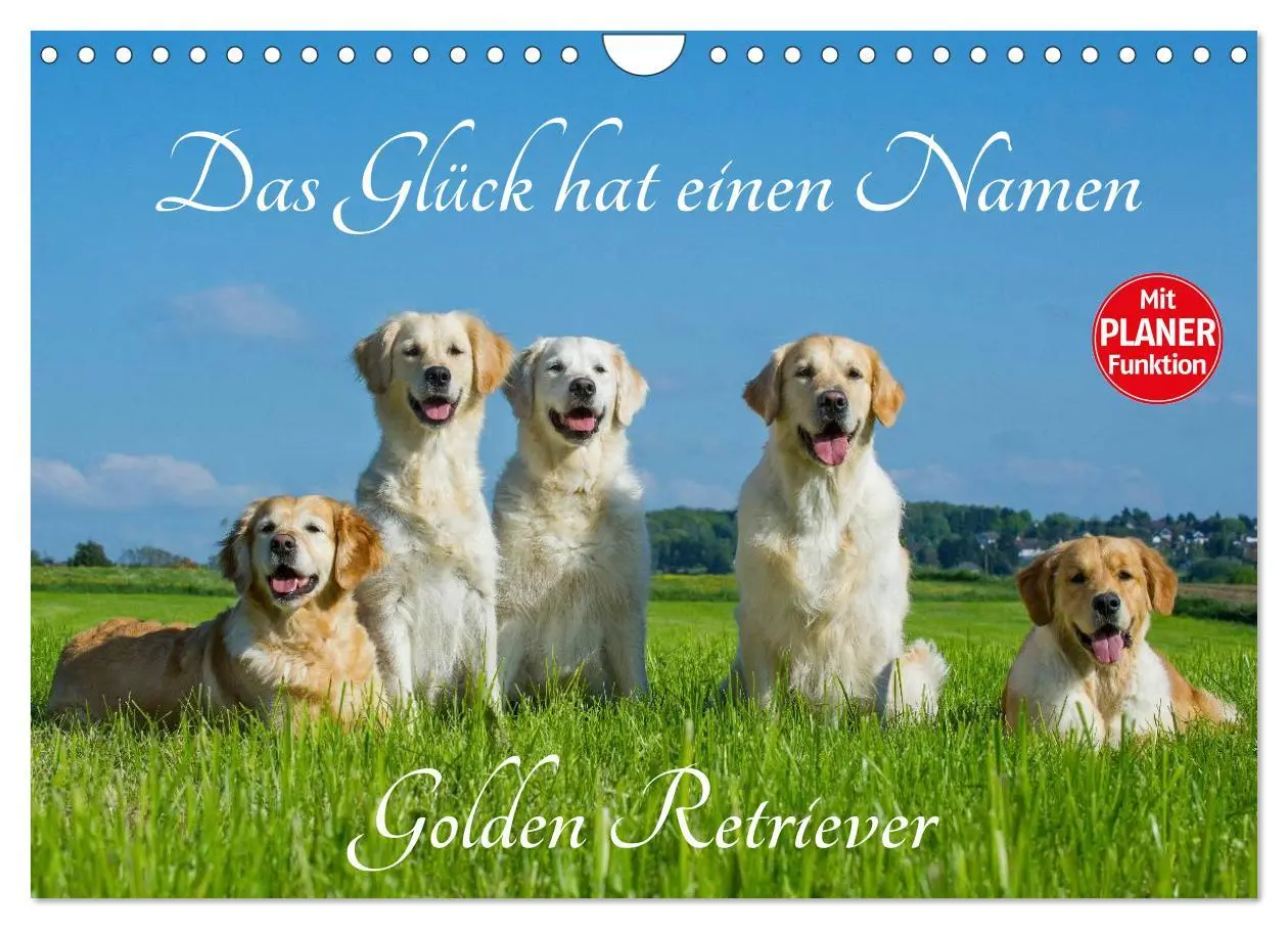 Cover: 9783516006209 | Das Glück hat einen Namen - Golden Retriever (Wandkalender 2026 DIN...