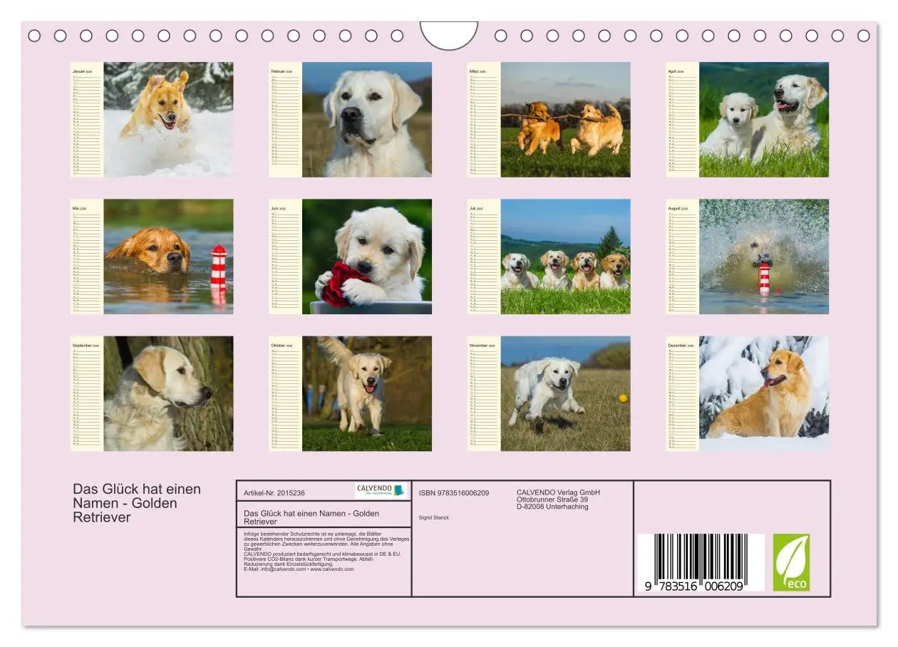 Bild: 9783516006209 | Das Glück hat einen Namen - Golden Retriever (Wandkalender 2026 DIN...