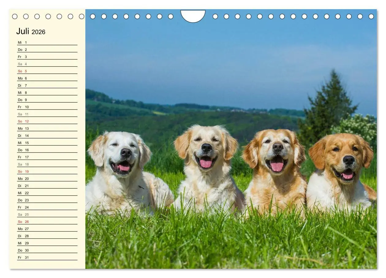 Bild: 9783516006209 | Das Glück hat einen Namen - Golden Retriever (Wandkalender 2026 DIN...