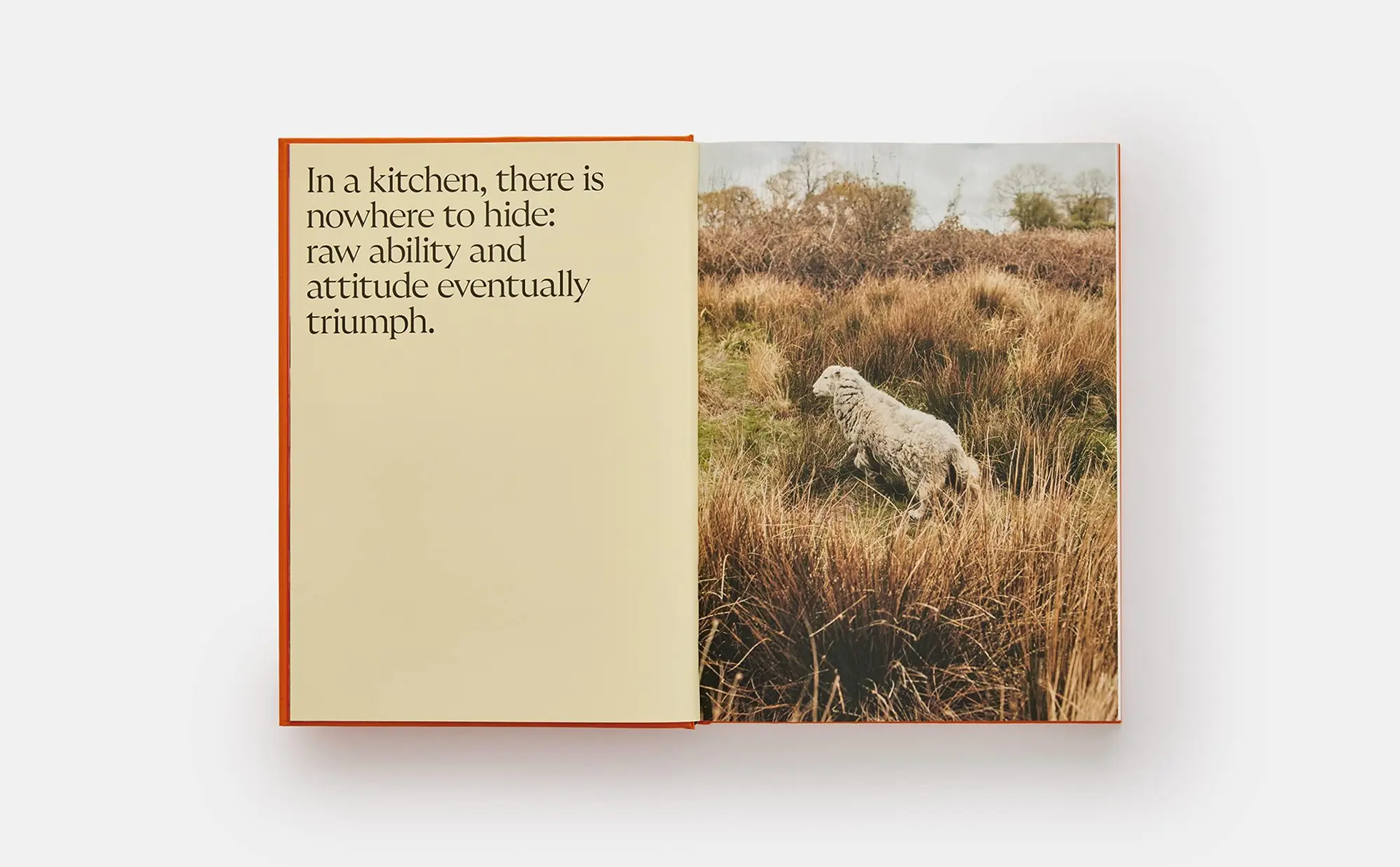Bild: 9781838666309 | Ikoyi, A Journey Through Bold Heat with Recipes | Jeremy Chan (u. a.)