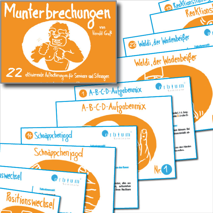 Cover: 9783930816309 | Kartenset Munterbrechungen 1 | Harald Groß | Mehrteiliges Produkt