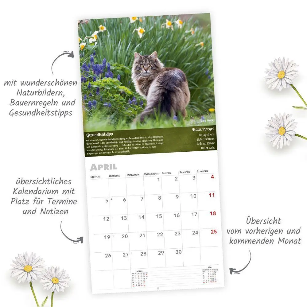Bild: 9783988026309 | TRÖTSCH - Broschürenkalender Landliebe 2027 | Wandplaner | KG | 24 S.