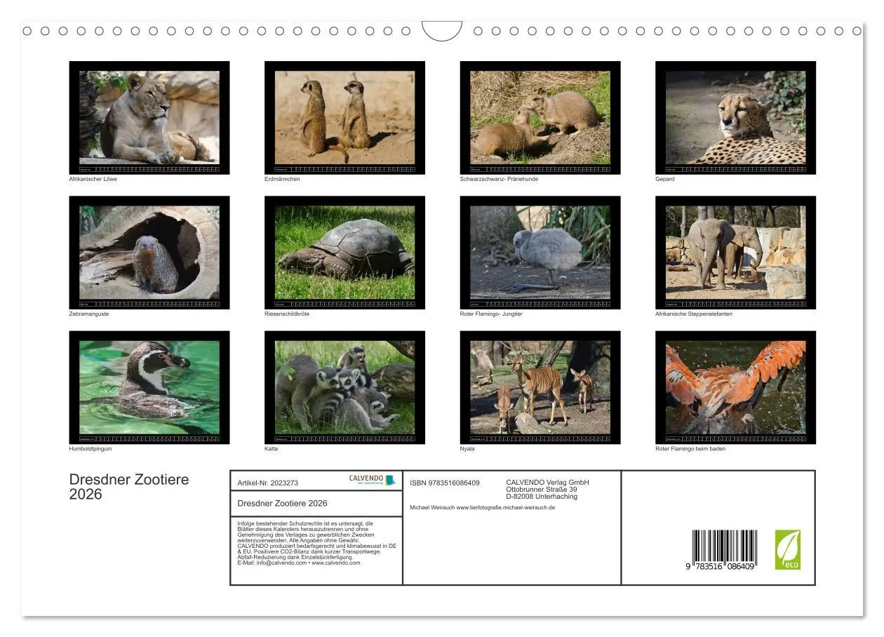Bild: 9783516086409 | Dresdner Zootiere 2026 (Wandkalender 2026 DIN A3 quer), CALVENDO...