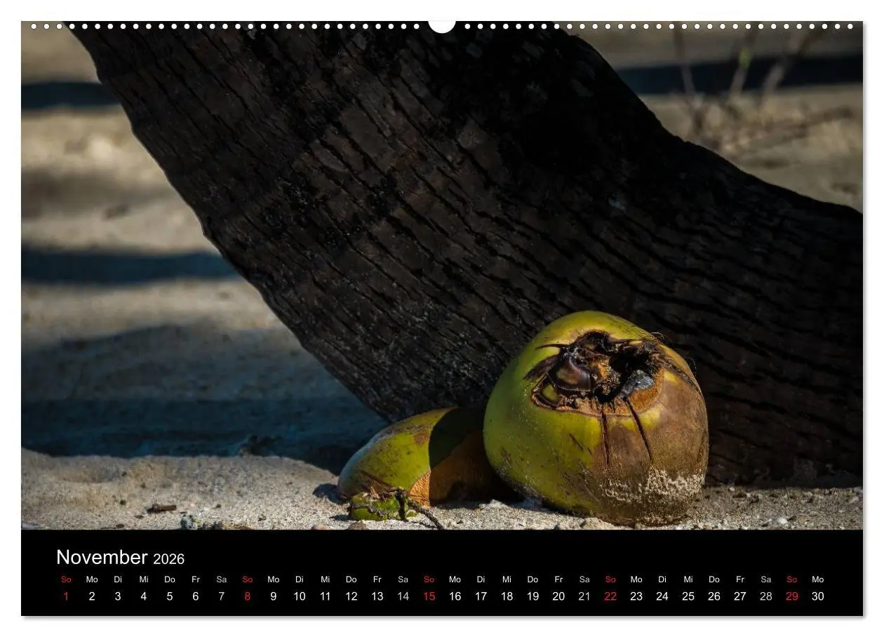 Bild: 9783516156409 | Myanmar - Eindrücke (hochwertiger Premium Wandkalender 2026 DIN A2...