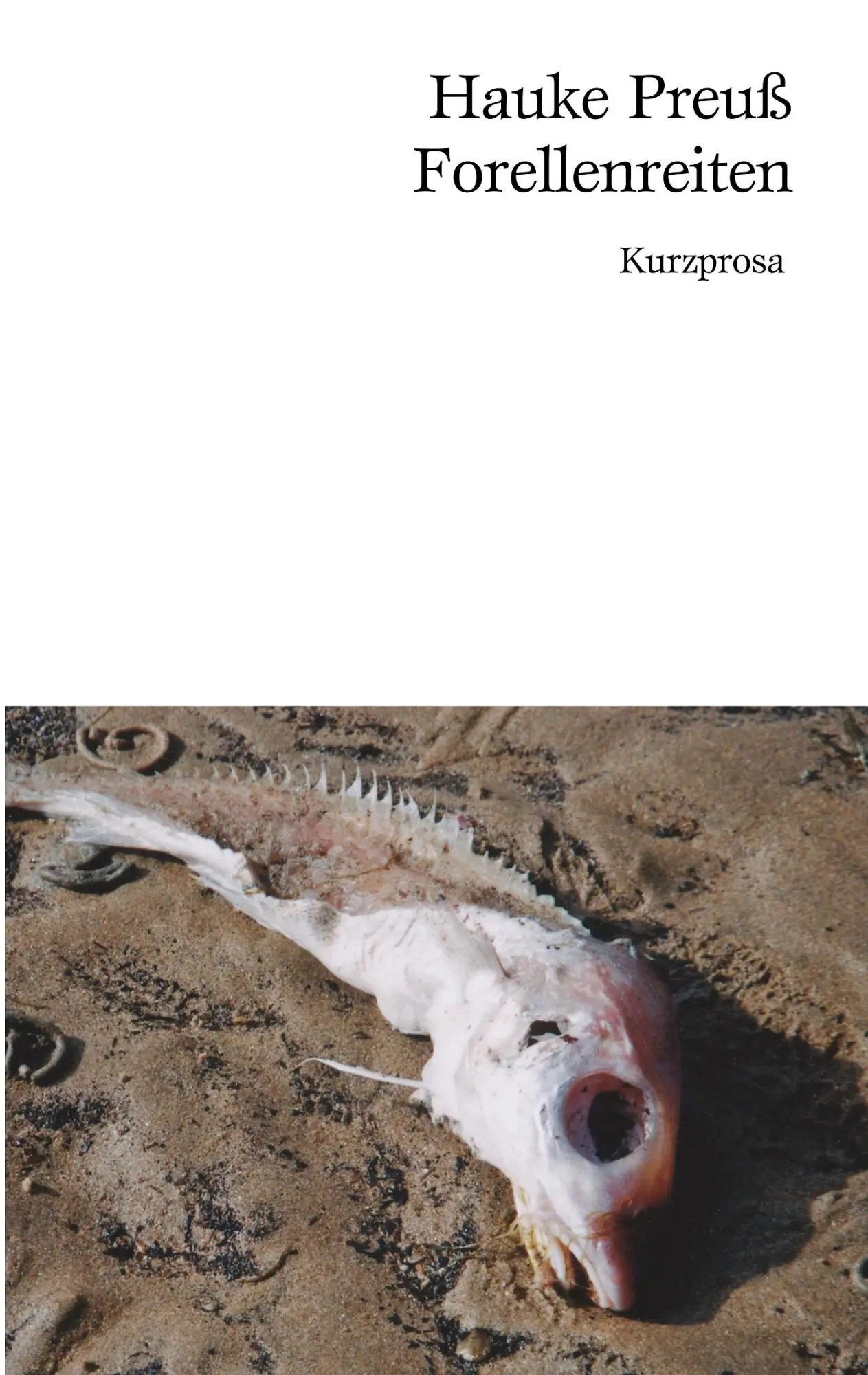 Forellenreiten: Kurzprosa