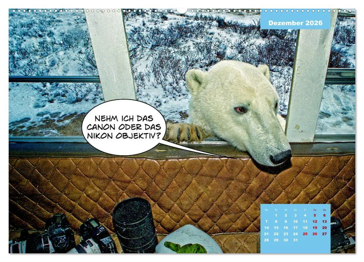Bild: 9783457666609 | Lustige Eisbären (hochwertiger Premium Wandkalender 2026 DIN A2...