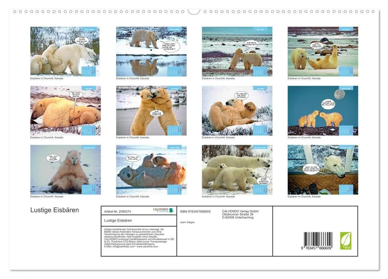 Bild: 9783457666609 | Lustige Eisbären (hochwertiger Premium Wandkalender 2026 DIN A2...