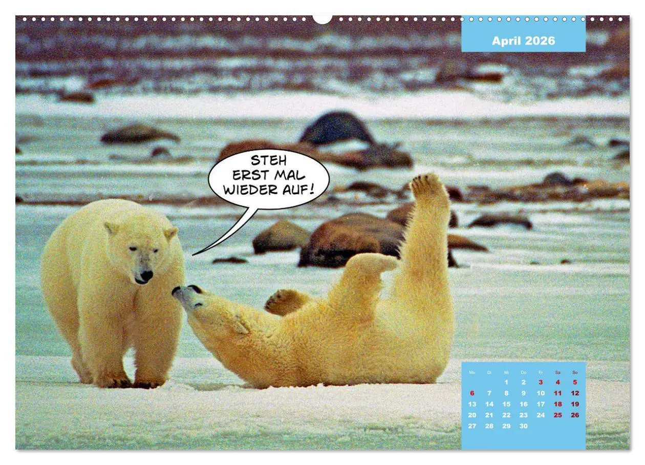 Bild: 9783457666609 | Lustige Eisbären (hochwertiger Premium Wandkalender 2026 DIN A2...