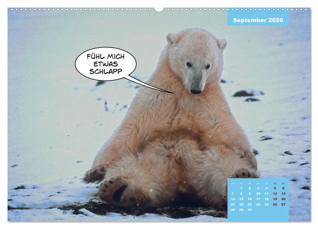 Bild: 9783457666609 | Lustige Eisbären (hochwertiger Premium Wandkalender 2026 DIN A2...