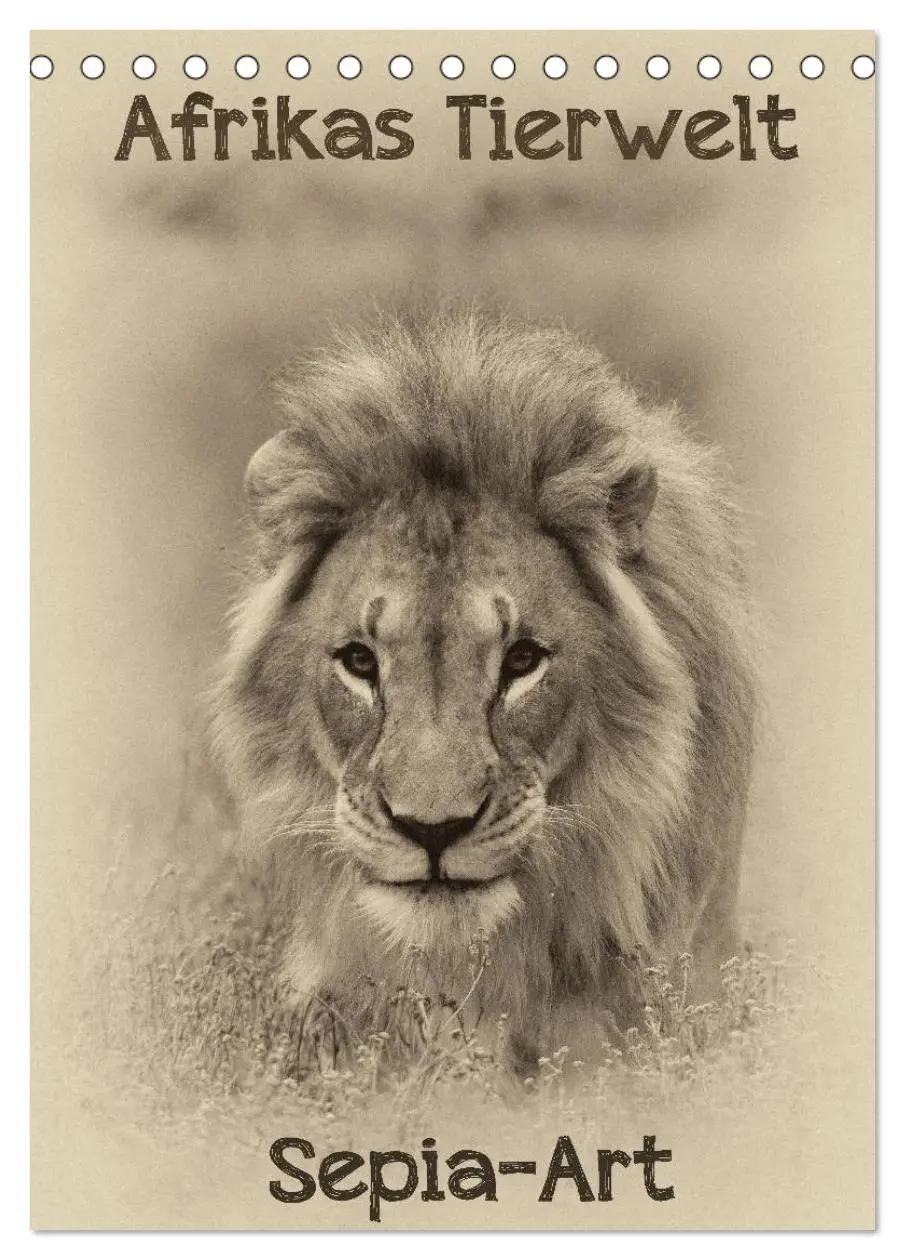 Cover: 9783569916609 | Afrikas Tierwelt - Sepia-Art (Tischkalender 2027 DIN A5 hoch),...