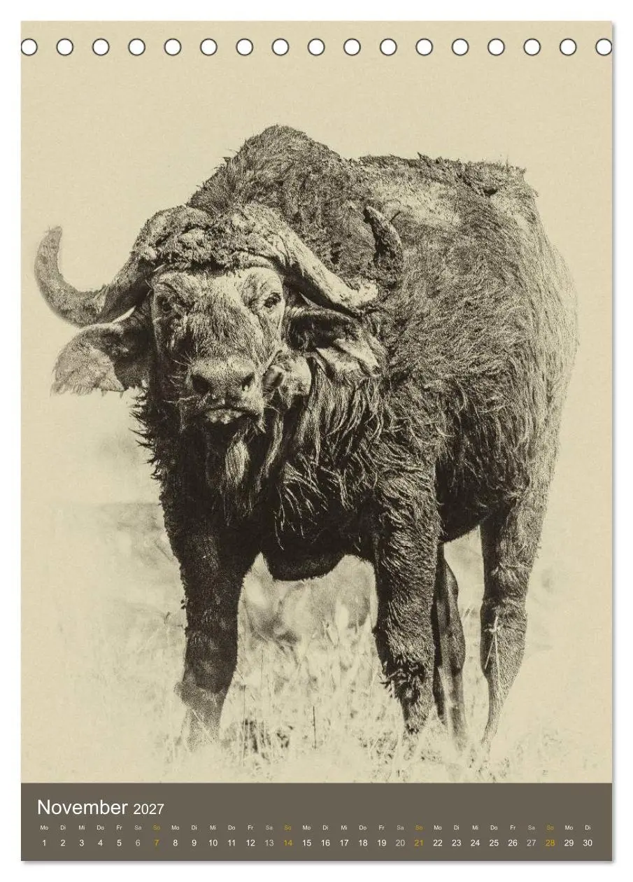 Bild: 9783569916609 | Afrikas Tierwelt - Sepia-Art (Tischkalender 2027 DIN A5 hoch),...