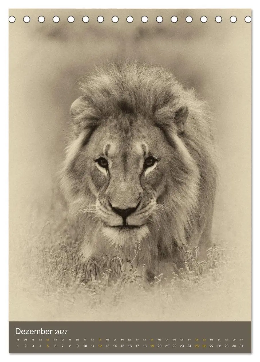 Bild: 9783569916609 | Afrikas Tierwelt - Sepia-Art (Tischkalender 2027 DIN A5 hoch),...