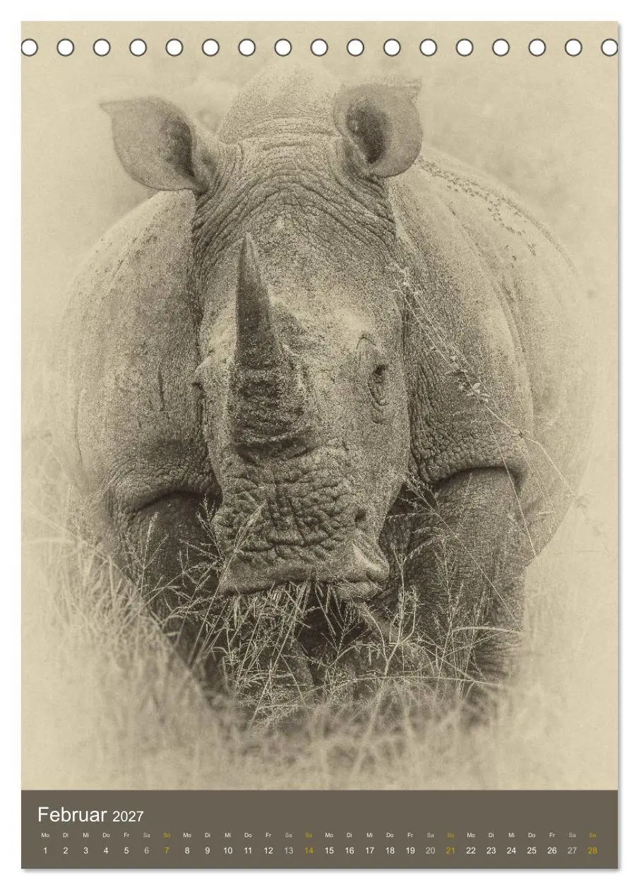 Bild: 9783569916609 | Afrikas Tierwelt - Sepia-Art (Tischkalender 2027 DIN A5 hoch),...