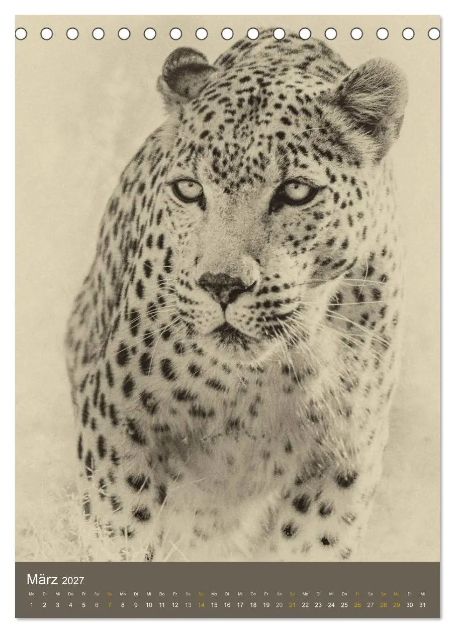 Bild: 9783569916609 | Afrikas Tierwelt - Sepia-Art (Tischkalender 2027 DIN A5 hoch),...