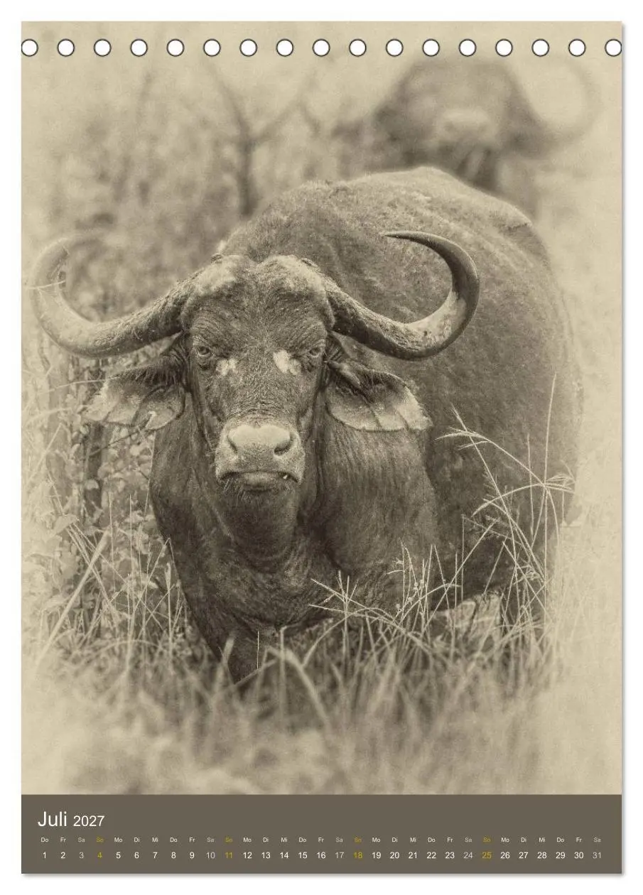 Bild: 9783569916609 | Afrikas Tierwelt - Sepia-Art (Tischkalender 2027 DIN A5 hoch),...