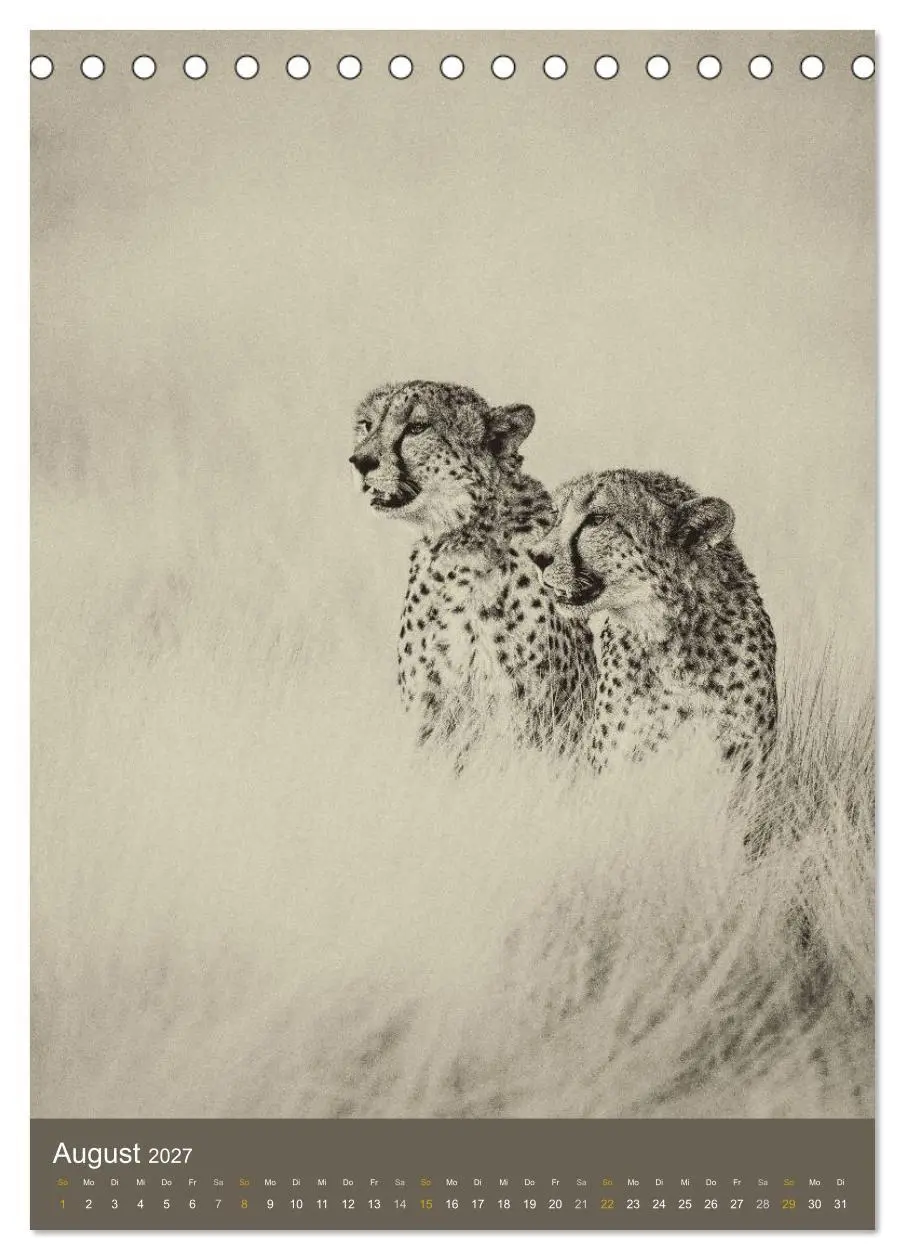 Bild: 9783569916609 | Afrikas Tierwelt - Sepia-Art (Tischkalender 2027 DIN A5 hoch),...