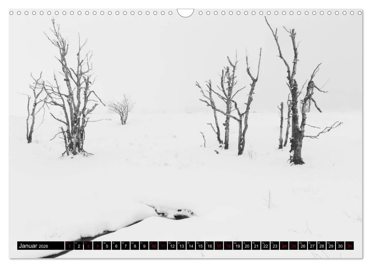 Bild: 9783457896709 | Das Hohe Venn (Wandkalender 2026 DIN A3 quer), CALVENDO Monatskalender