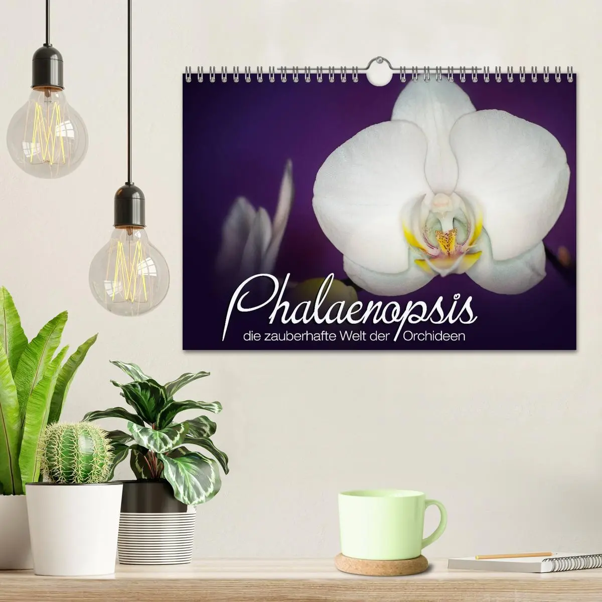 Bild: 9783516126709 | Phalaenopsis - die zauberhafte Welt der Orchideen (Wandkalender...