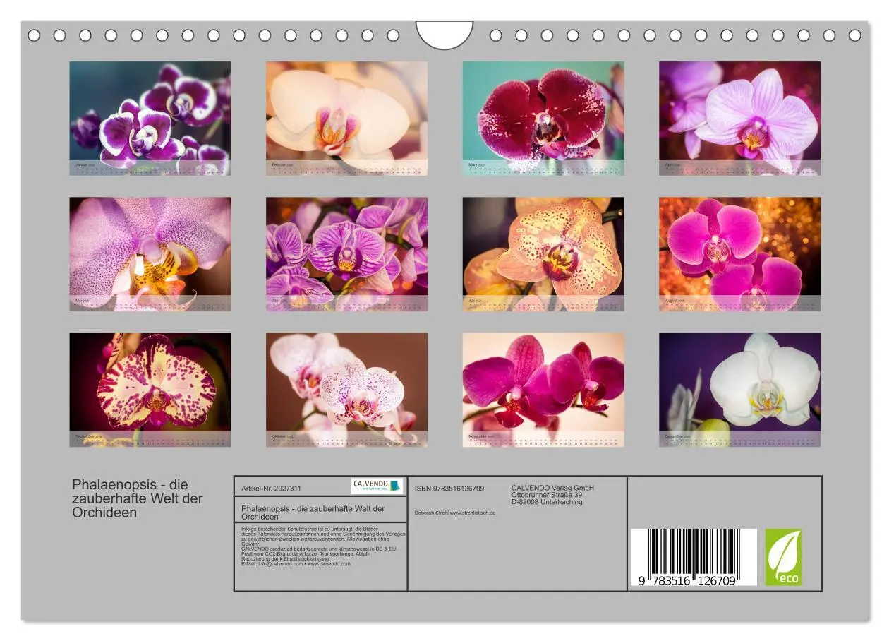 Bild: 9783516126709 | Phalaenopsis - die zauberhafte Welt der Orchideen (Wandkalender...