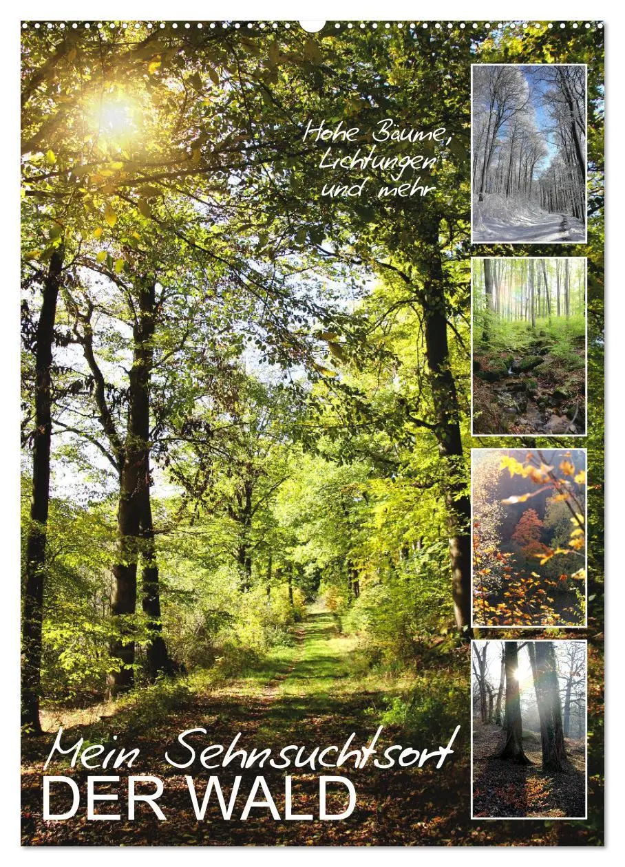 Cover: 9783516366709 | Mein Sehnsuchtsort, der Wald (Wandkalender 2026 DIN A2 hoch),...