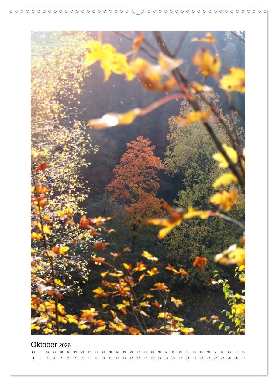 Bild: 9783516366709 | Mein Sehnsuchtsort, der Wald (Wandkalender 2026 DIN A2 hoch),...