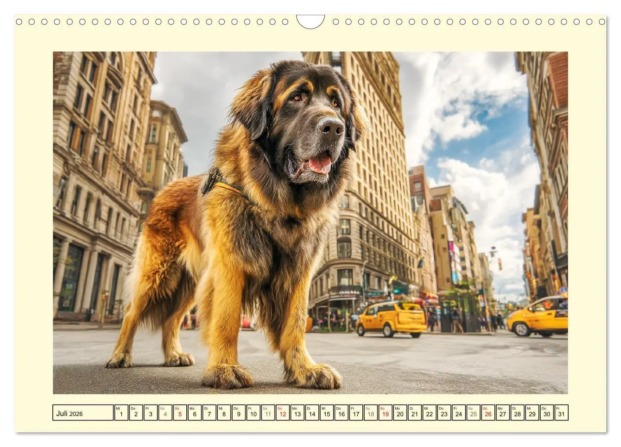 Bild: 9783457646809 | Der Leonberger. Majestätische Löwenhunde im Licht der Natur...