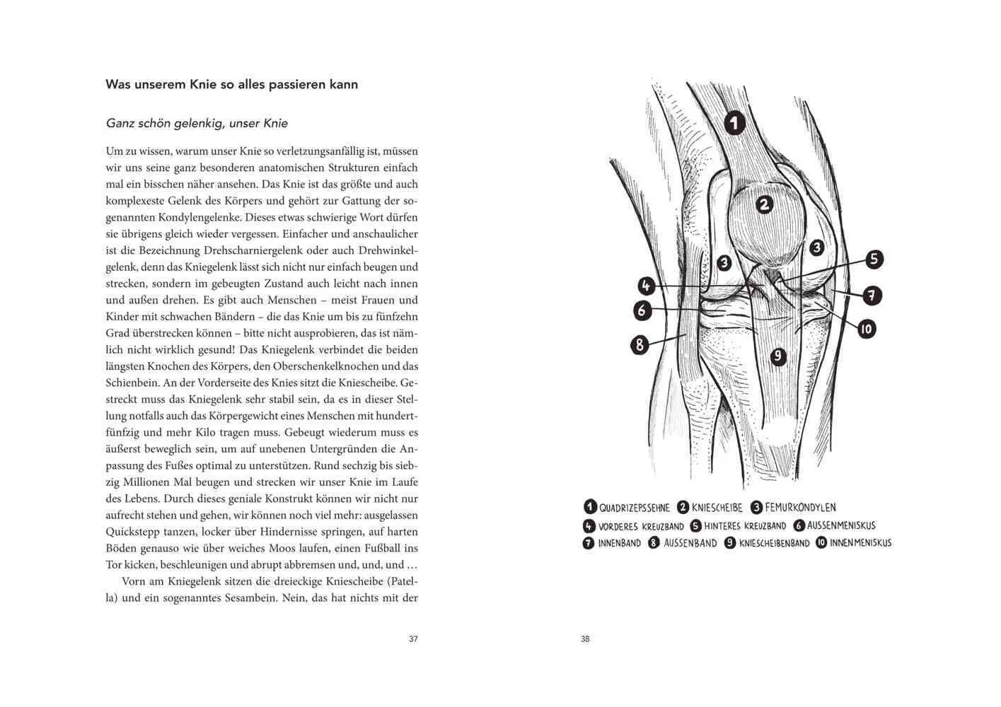 Bild: 9783841906809 | Der Knie-Fall | Manuel Köhne | Taschenbuch | 224 S. | Deutsch | 2019