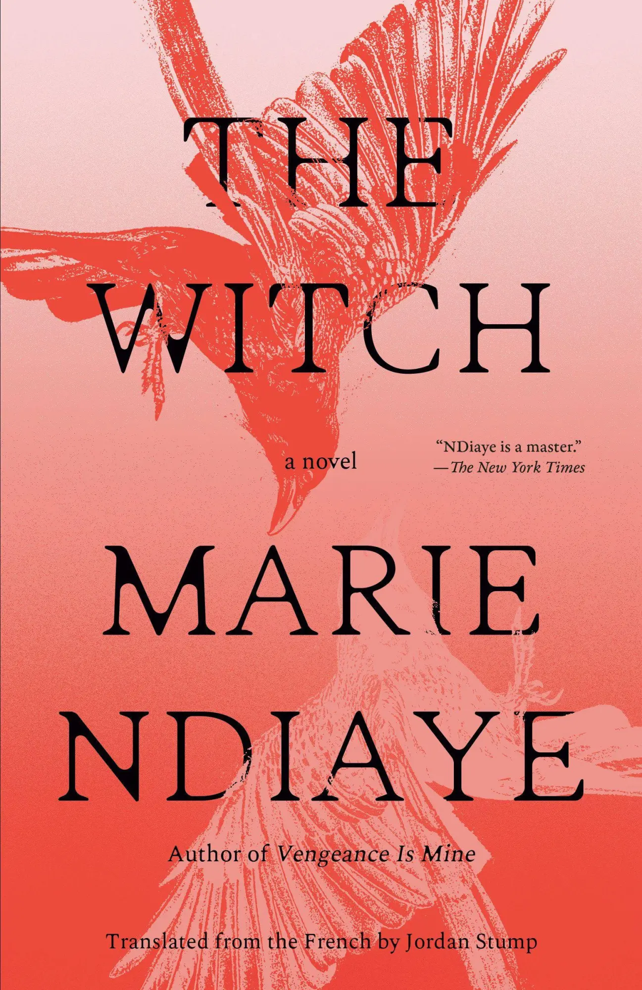 Cover: 9798217006809 | The Witch | A Novel | Marie NDiaye | Taschenbuch | 144 S. | Englisch