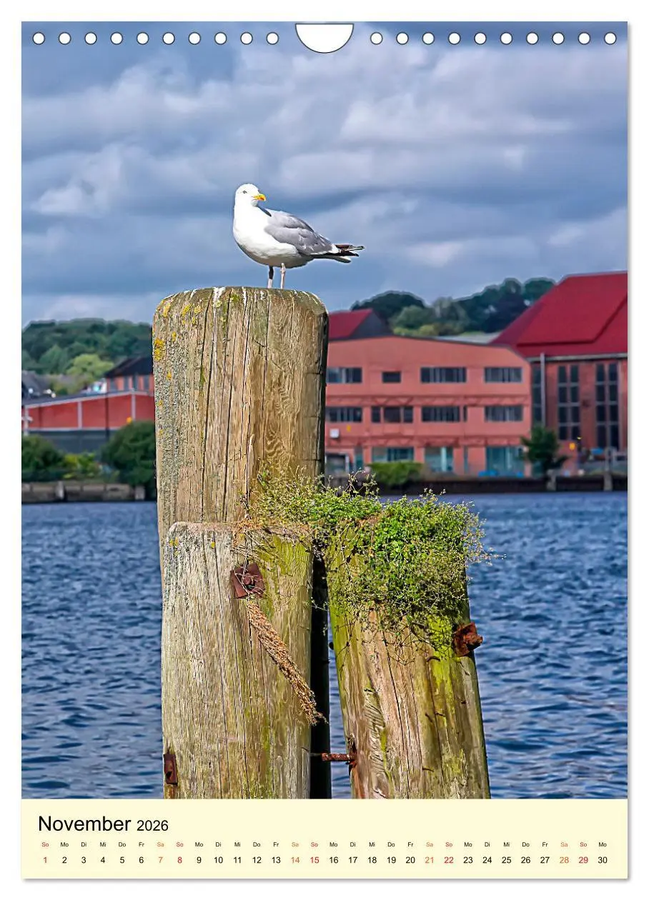 Bild: 9783516346909 | Flensburg - so bezaubernd (Wandkalender 2026 DIN A4 hoch), CALVENDO...
