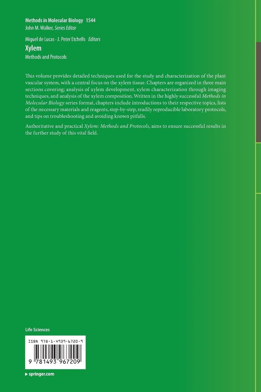 Rückseite: 9781493967209 | Xylem | Methods and Protocols | J. Peter Etchhells (u. a.) | Buch | x