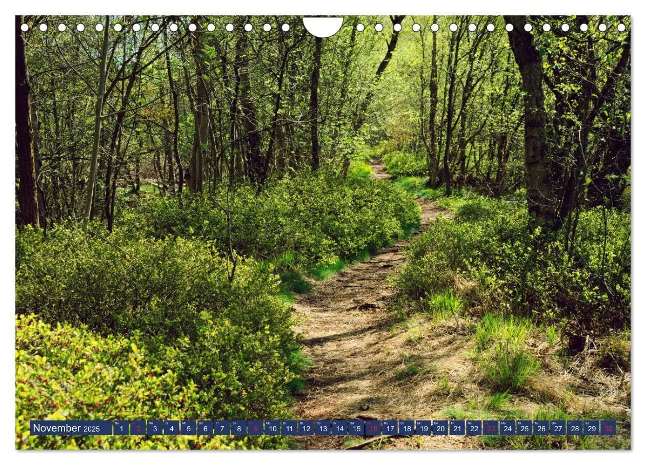 Bild: 9783435277209 | Schönes Ammerland (Wandkalender 2025 DIN A4 quer), CALVENDO...