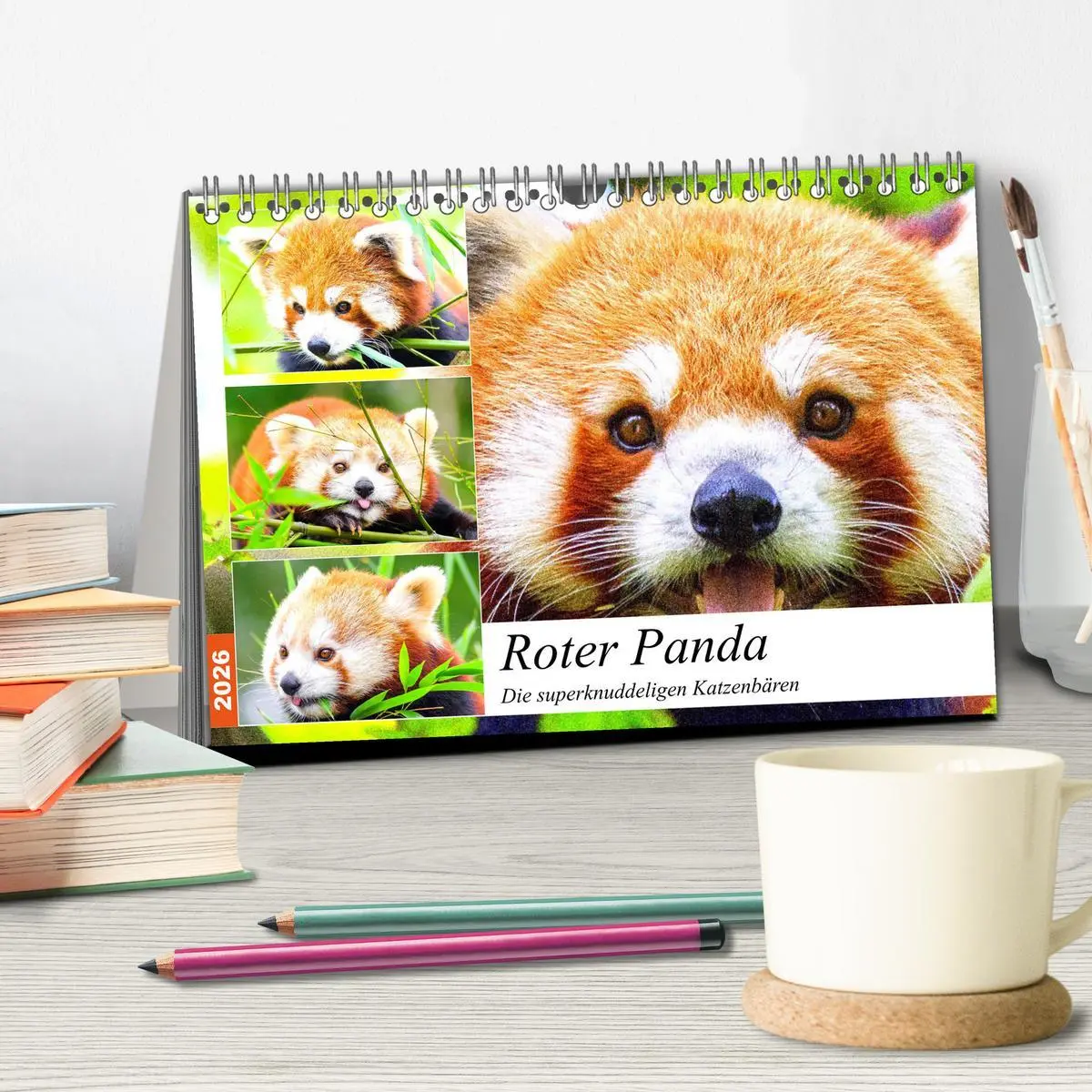 Bild: 9783457747209 | Roter Panda. Die superknuddeligen Katzenbären (Tischkalender 2026...