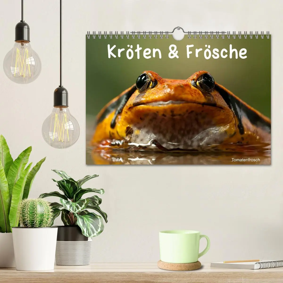 Bild: 9783516147209 | Kröten &amp; Frösche (Wandkalender 2026 DIN A4 quer), CALVENDO...