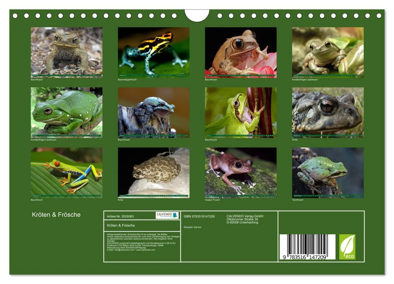 Bild: 9783516147209 | Kröten &amp; Frösche (Wandkalender 2026 DIN A4 quer), CALVENDO...