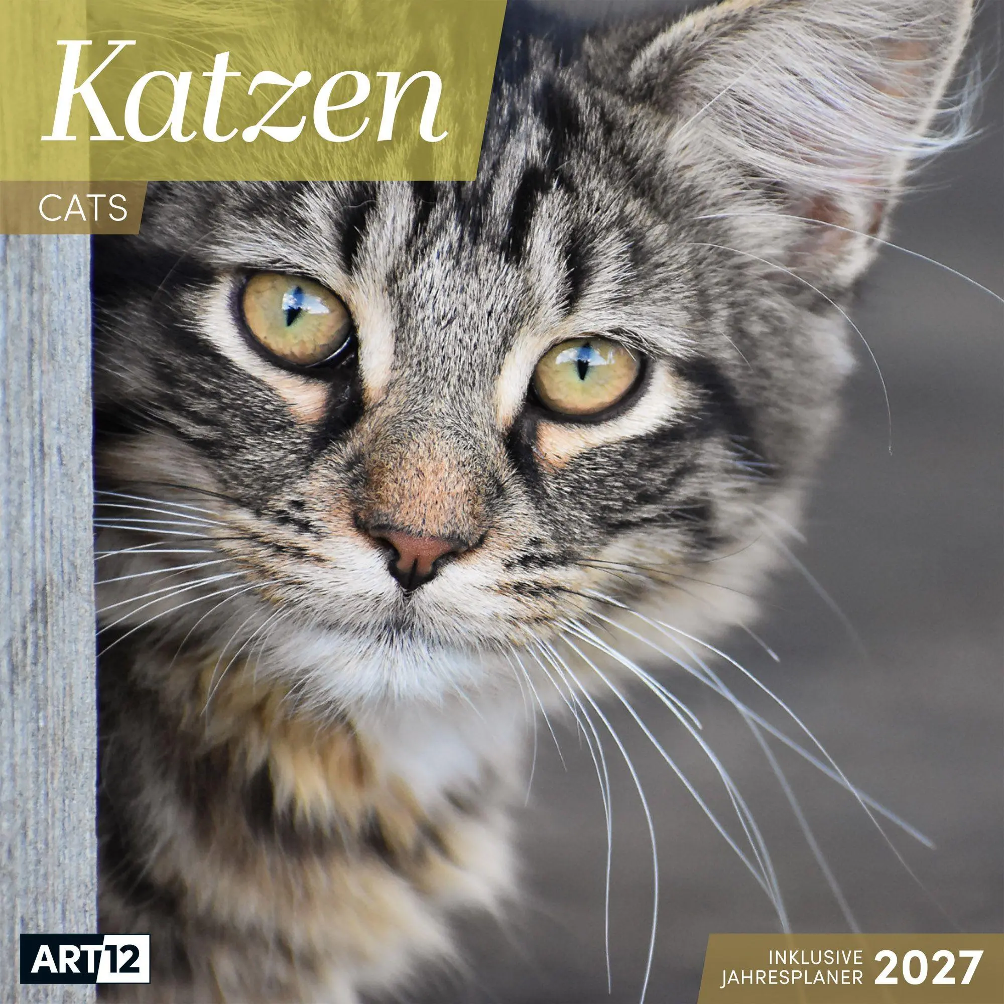 Cover: 9783838447209 | Katzen Kalender 2027 - 30x30 - Art12 | Ackermann Kunstverlag GmbH