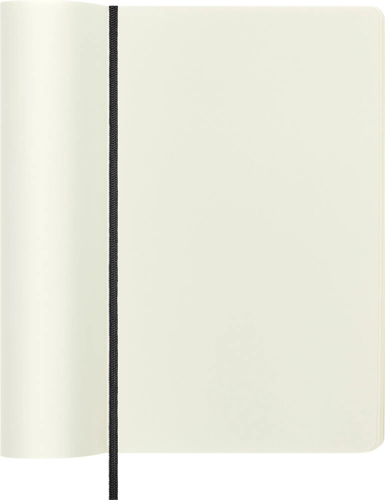 Bild: 9788883707209 | Moleskine. Notizbuch blanko groß | Moleskine | Notizbuch | 192 S.