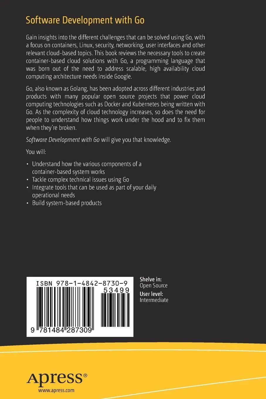 Rückseite: 9781484287309 | Software Development with Go | Nanik Tolaram | Taschenbuch | xix