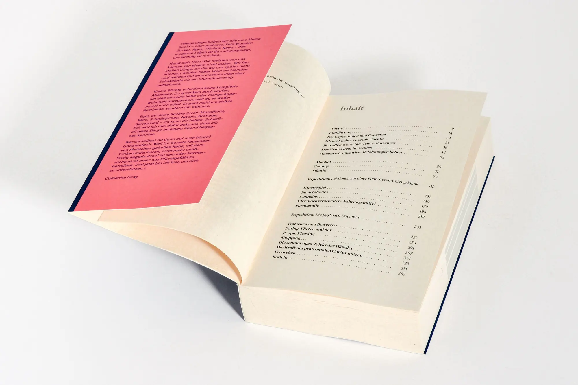 Bild: 9783453607309 | Little Addictions | Catherine Gray | Taschenbuch | 432 S. | Deutsch