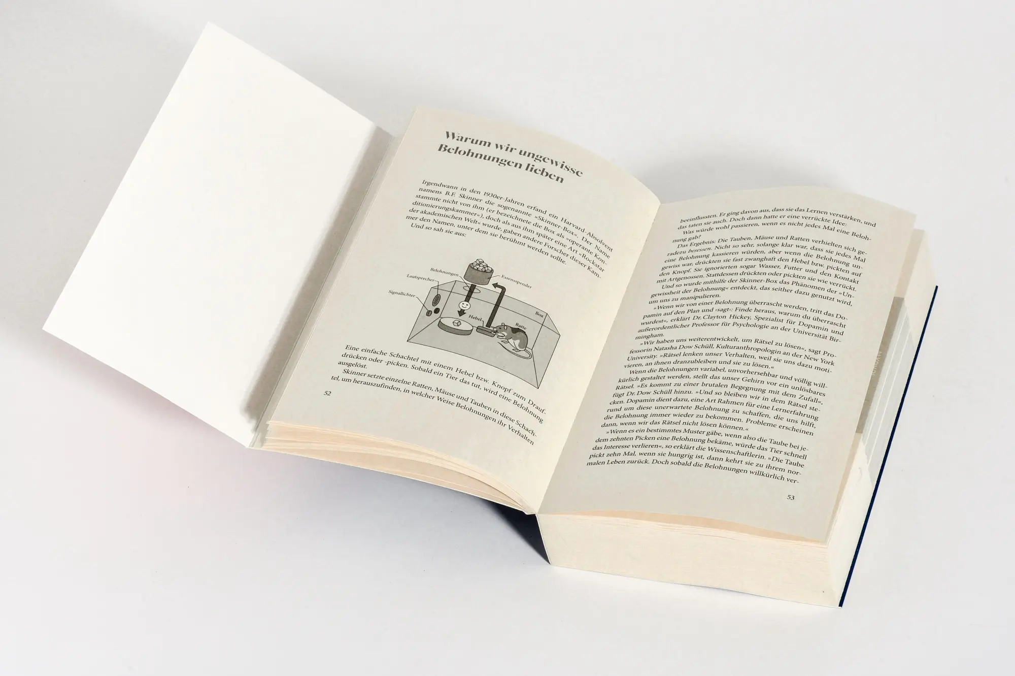Bild: 9783453607309 | Little Addictions | Catherine Gray | Taschenbuch | 432 S. | Deutsch