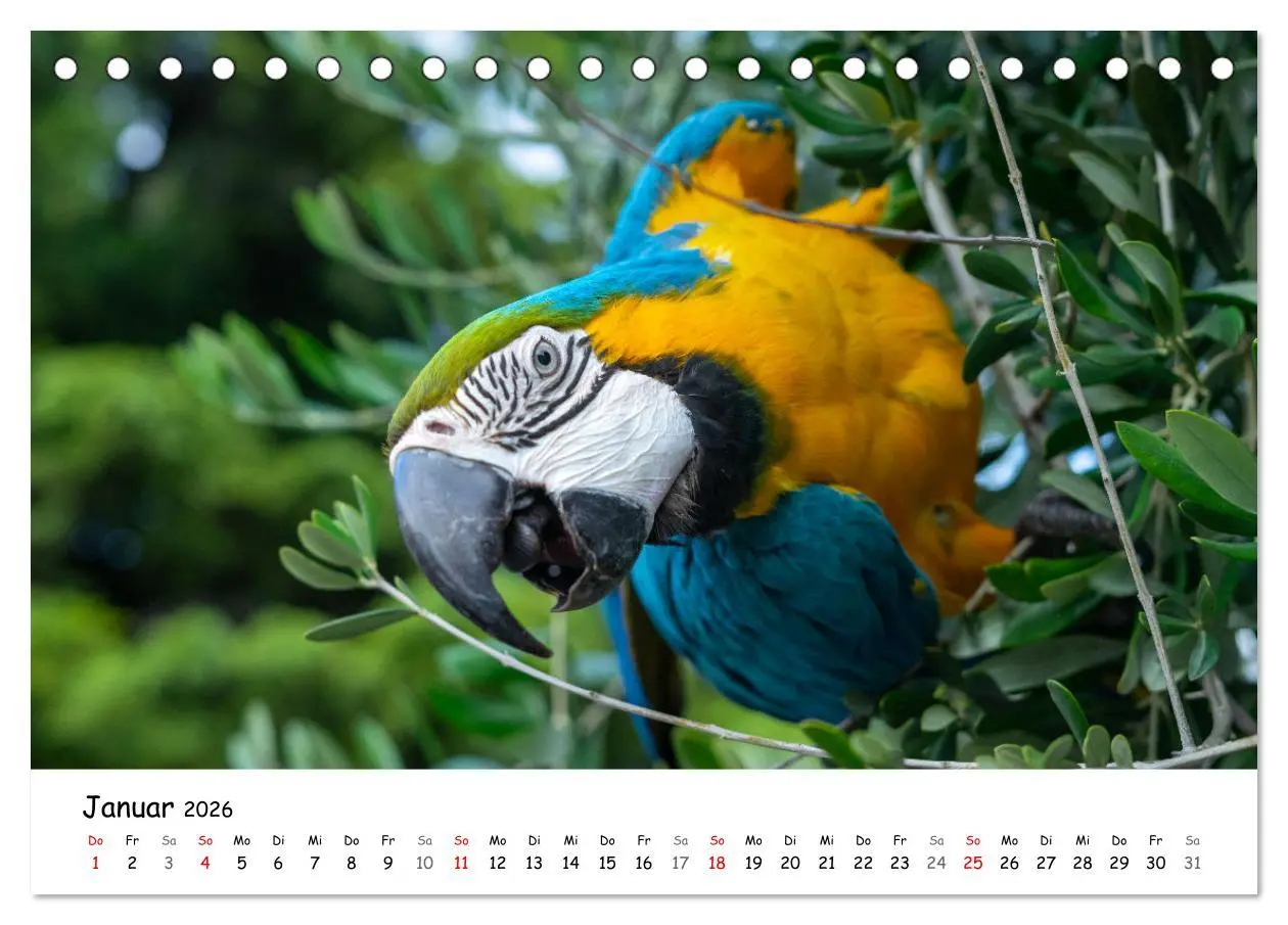 Bild: 9783457357309 | Nago-Torbole, der schöne Norden vom Gardasee (Tischkalender 2026...