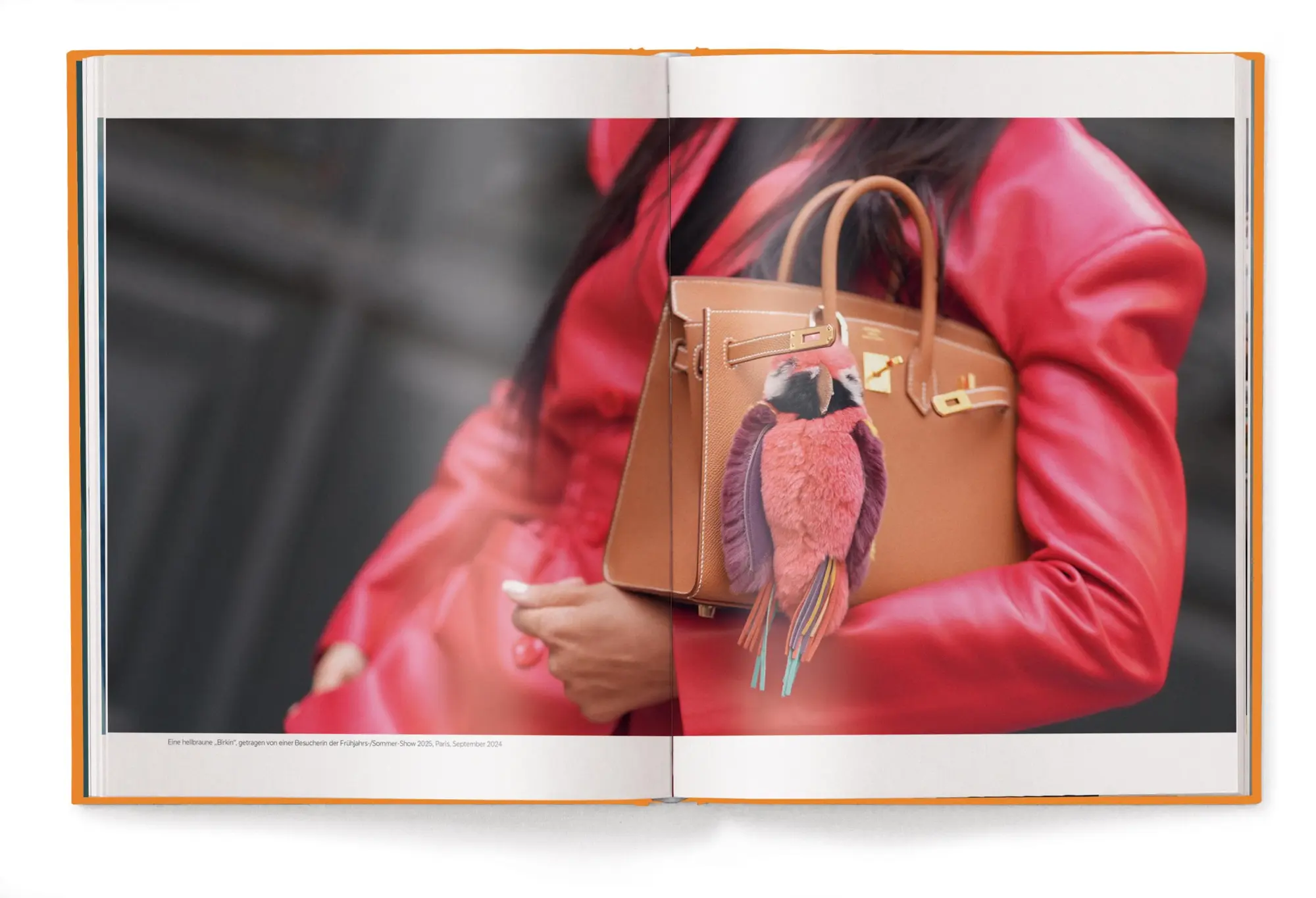 Bild: 9783961717309 | Hermès Bags: Der ultimative Guide | Alexandra Fullerton | Buch | 2025