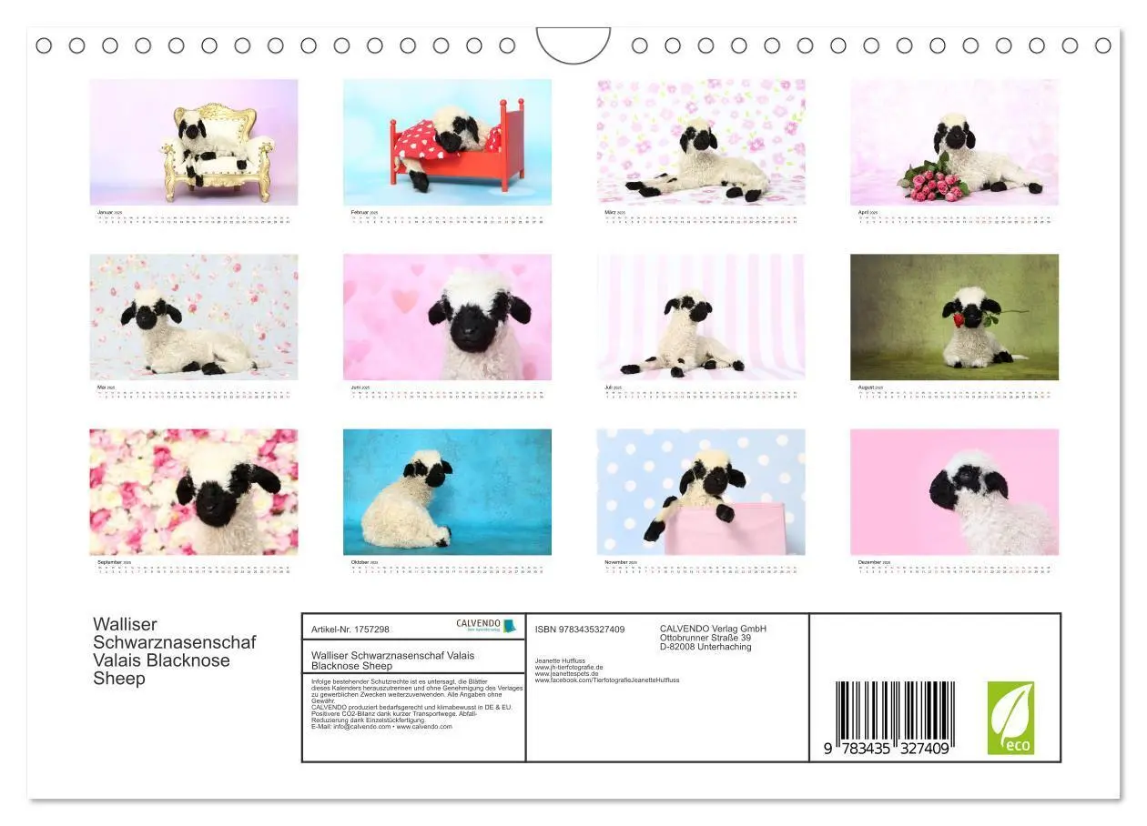 Bild: 9783435327409 | Walliser Schwarznasenschaf Valais Blacknose Sheep (Wandkalender...