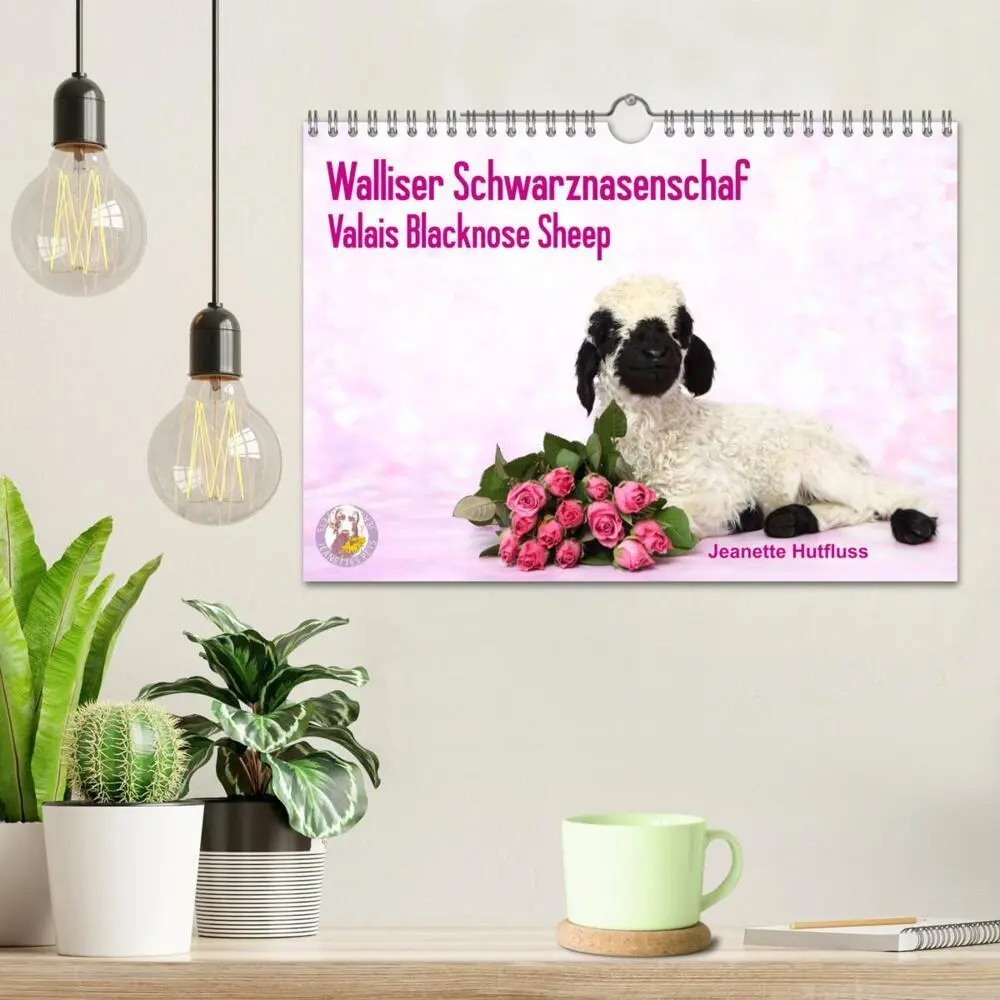 Bild: 9783435327409 | Walliser Schwarznasenschaf Valais Blacknose Sheep (Wandkalender...