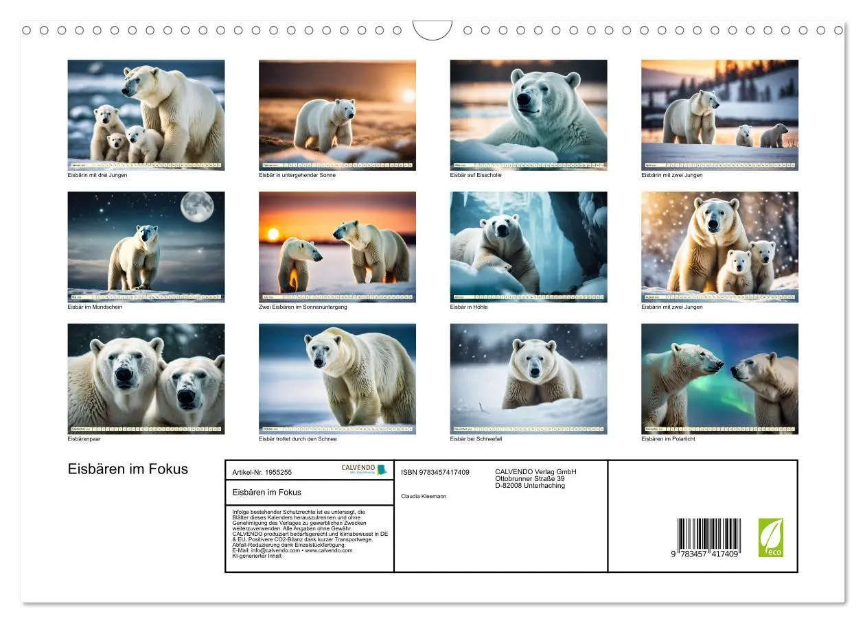 Bild: 9783457417409 | Eisbären im Fokus (Wandkalender 2026 DIN A3 quer), CALVENDO...