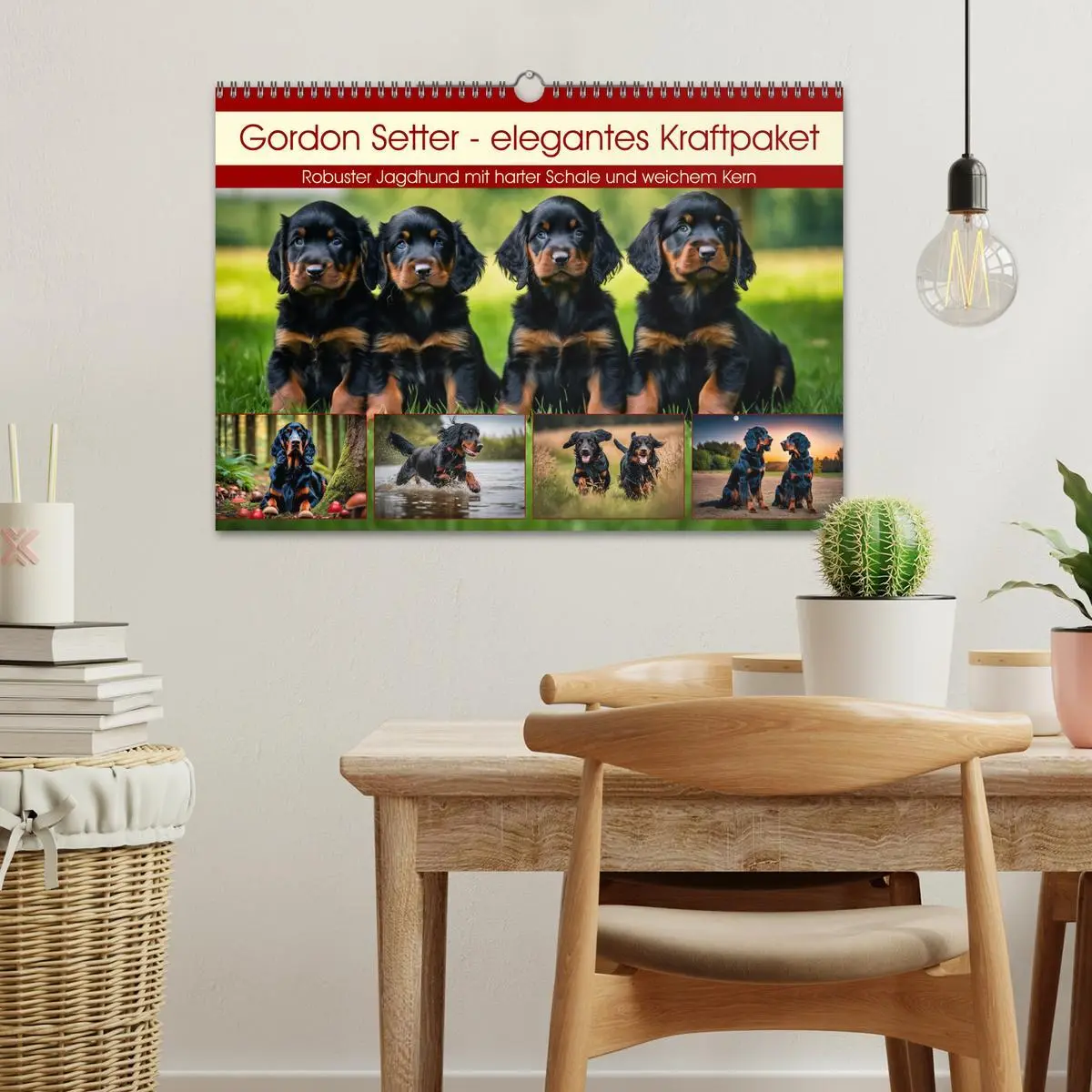 Bild: 9783457407509 | Gordon Setter - elegantes Kraftpaket (Wandkalender 2026 DIN A3...