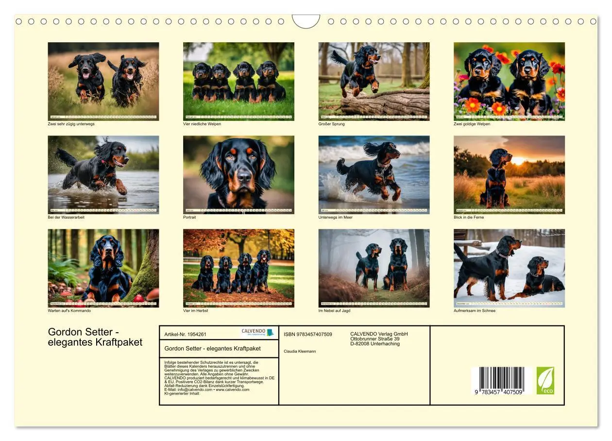 Bild: 9783457407509 | Gordon Setter - elegantes Kraftpaket (Wandkalender 2026 DIN A3...