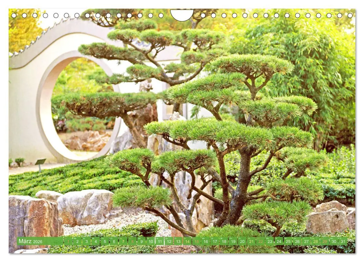 Bild: 9783516597509 | Meditationen im Zen-Garten (Wandkalender 2026 DIN A4 quer),...