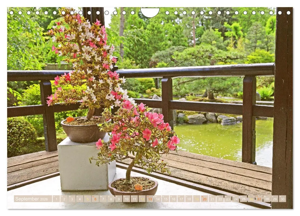 Bild: 9783516597509 | Meditationen im Zen-Garten (Wandkalender 2026 DIN A4 quer),...