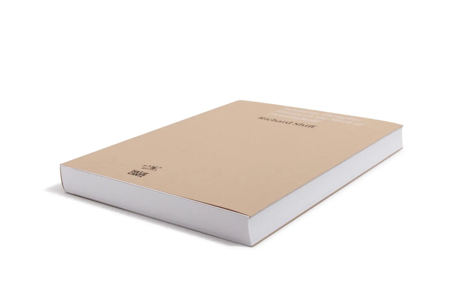 Bild: 9783775747509 | Sensuous Thoughts | Essays on the Work of Donald Judd | Judd | Buch