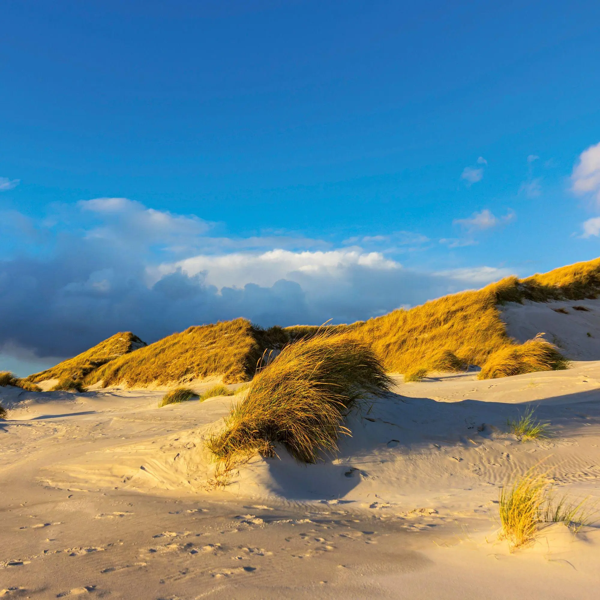 Bild: 9783959297509 | Nordsee / Northern Sea 2027 | Kalender 2027 | Kalender | 28 S. | 2027